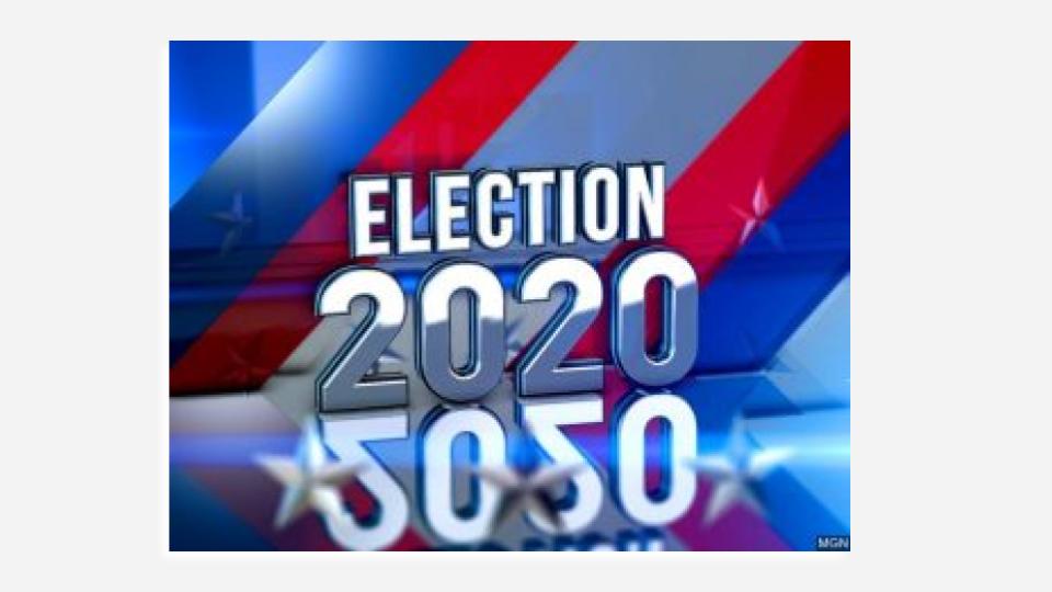 Who’s Running for Mayor and City Council in Naples’ March Elections?