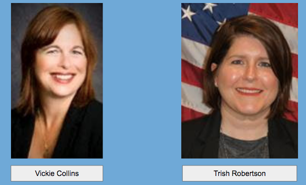 June 4 Zoom Meeting ~ Voting by Mail in Southwest Florida: The Perils and Promise